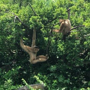 Meet your Posher, Cheyenne